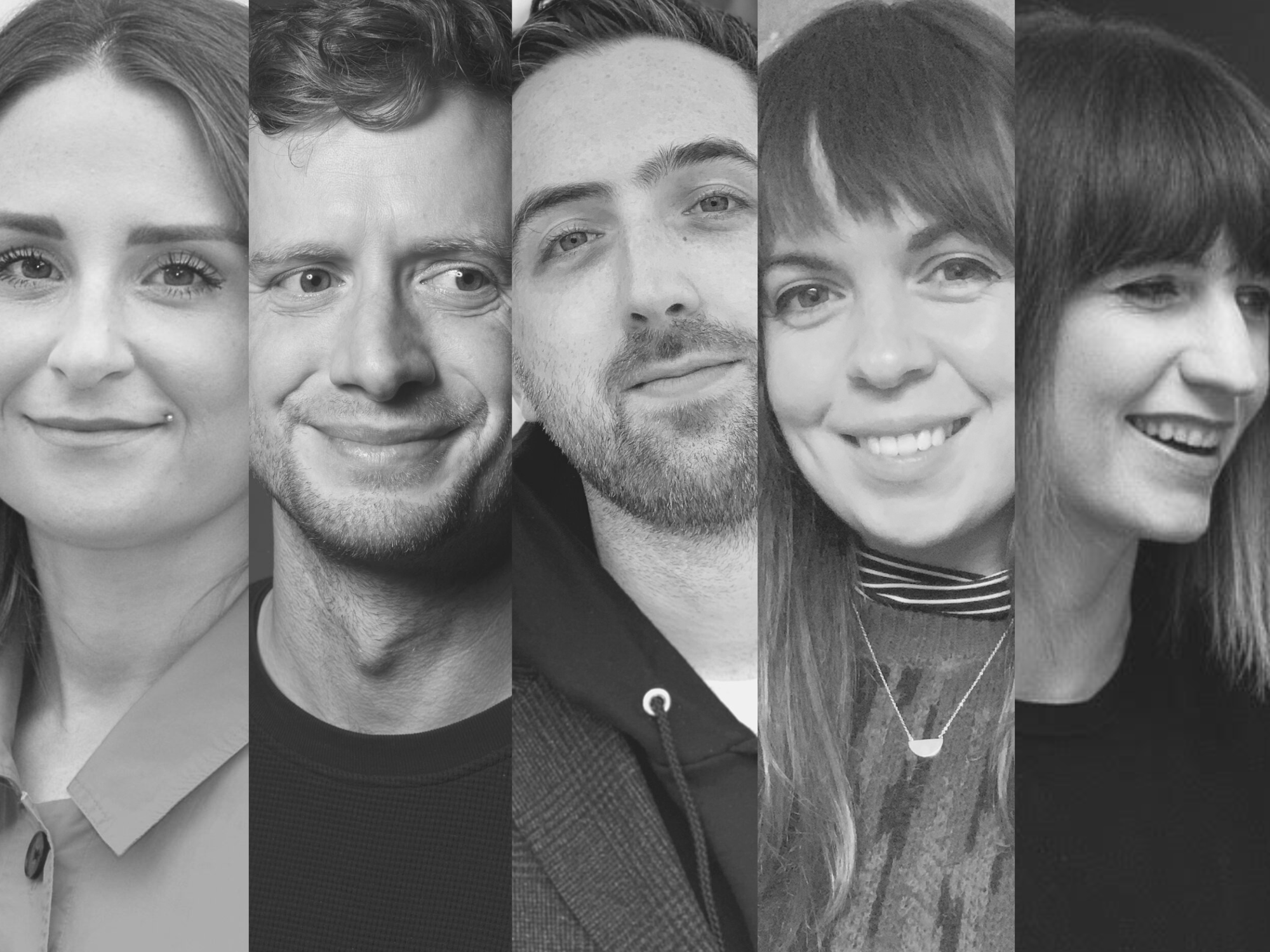 Cover image: The New Professional Panel: 2021/2023