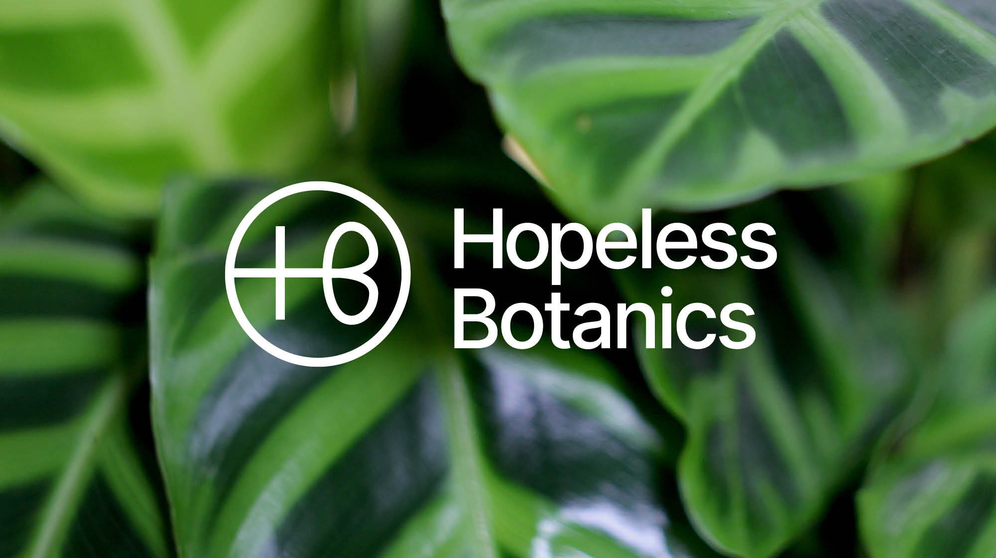 Cover image: Hopeless Botanics