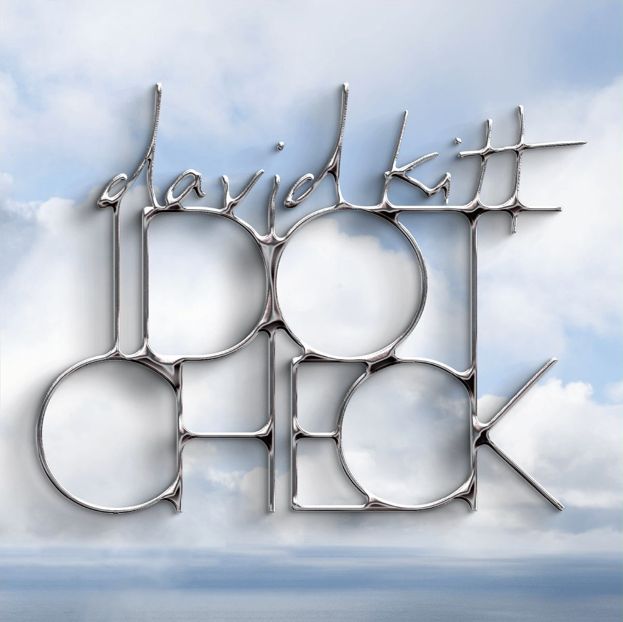 Cover image: David Kitt, Idiot Check