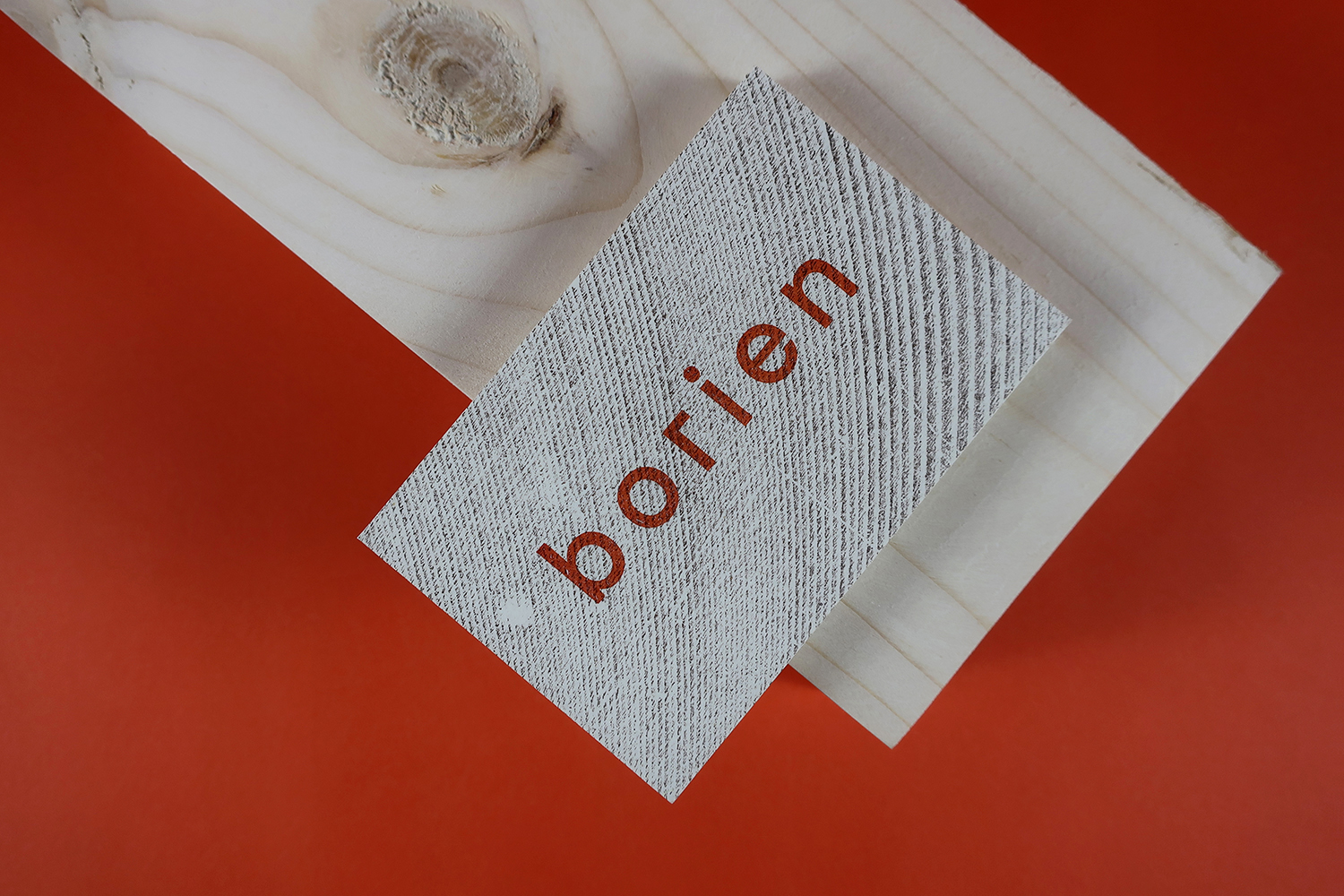 Cover image: Borien Identity