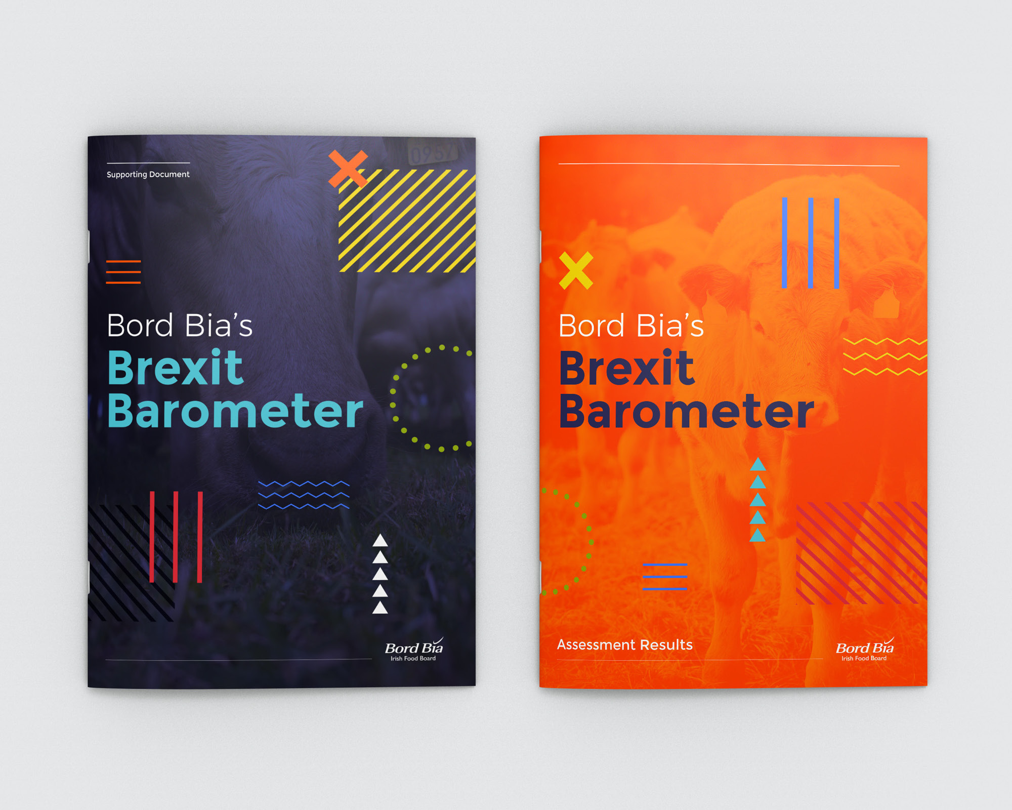 Cover image: Bord Bia's Brexit Barometer