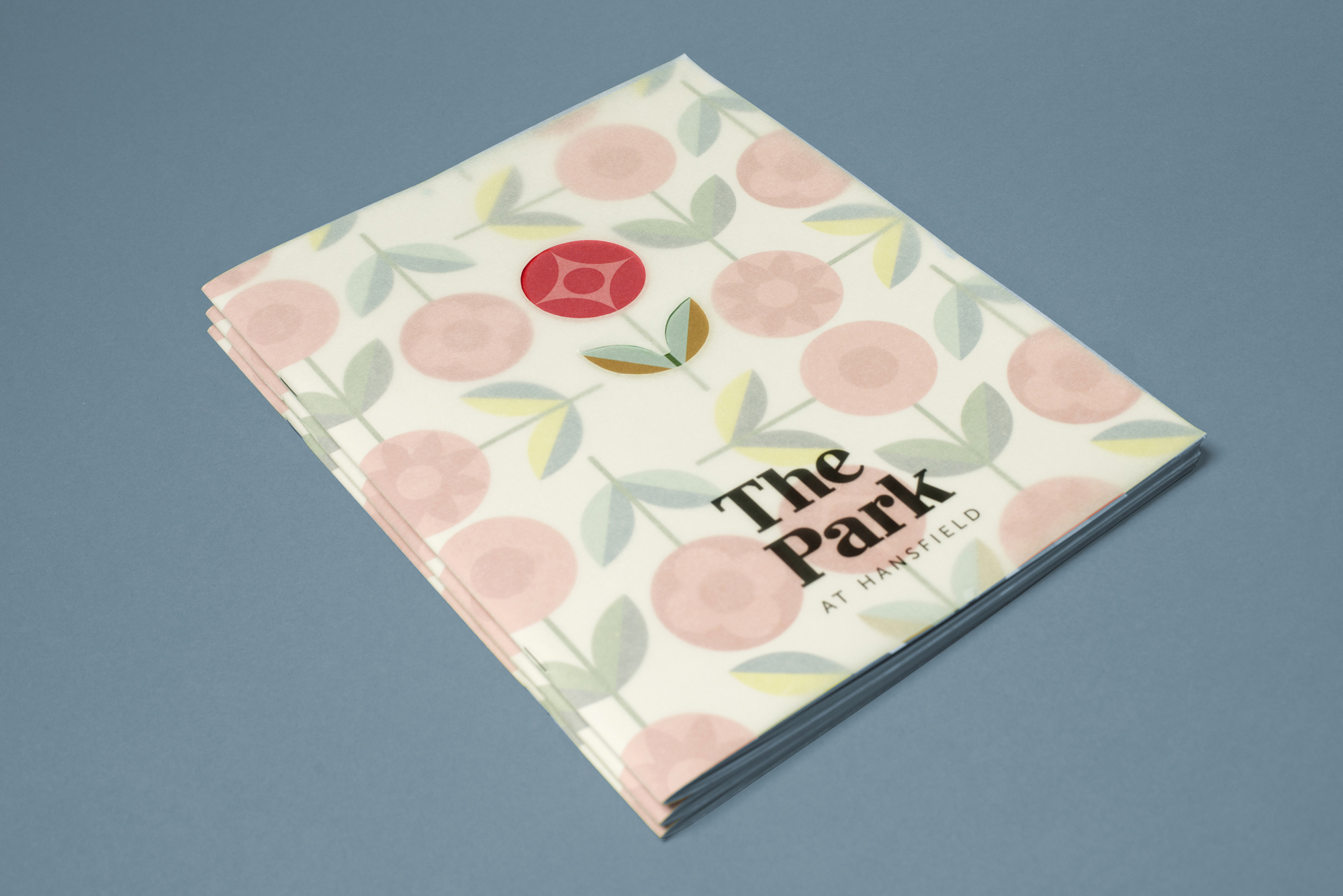 Cover image: Park at Hansfield - Brochure & Illustration