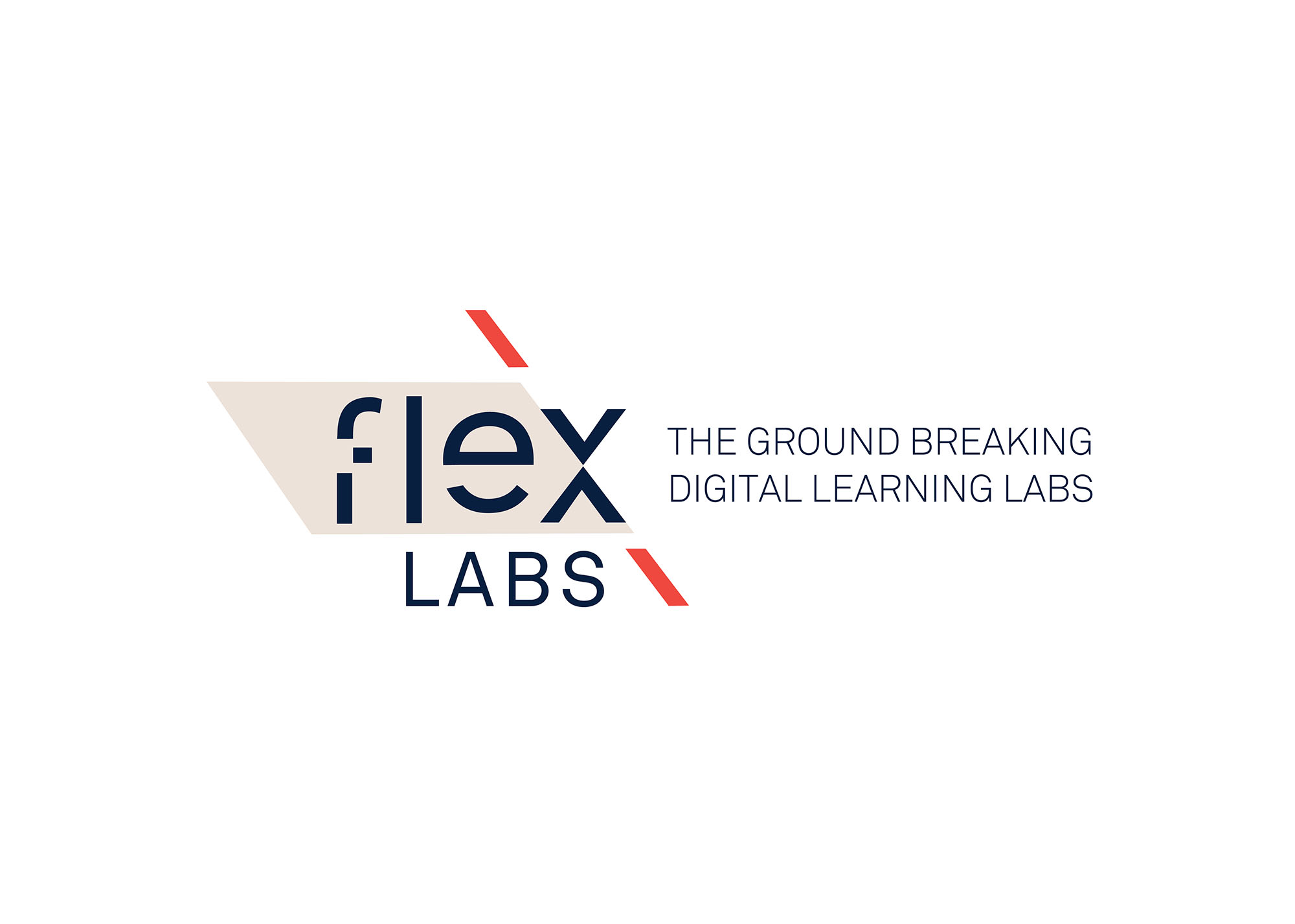 Cover image: FLEX LABS BRAND STRATEGY / NAME GENERATION / BRAND IDENTITY SYSTEM