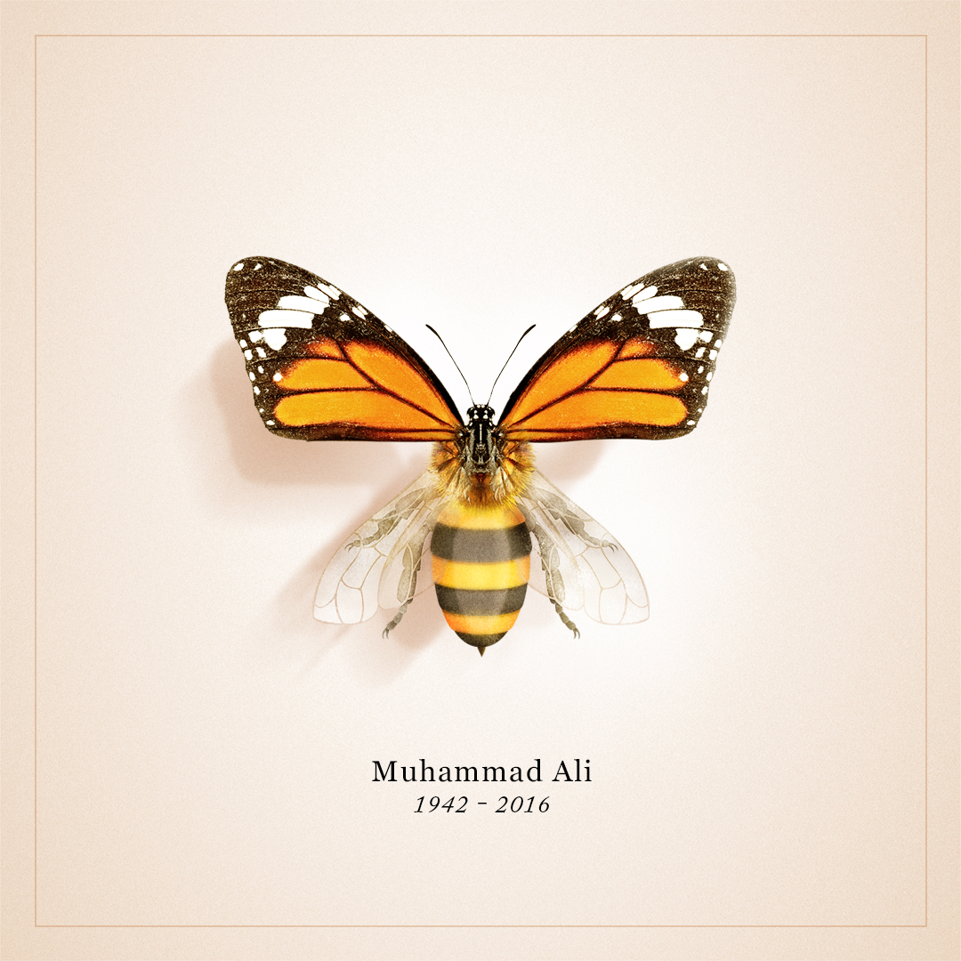 Cover image: Ali Tribute