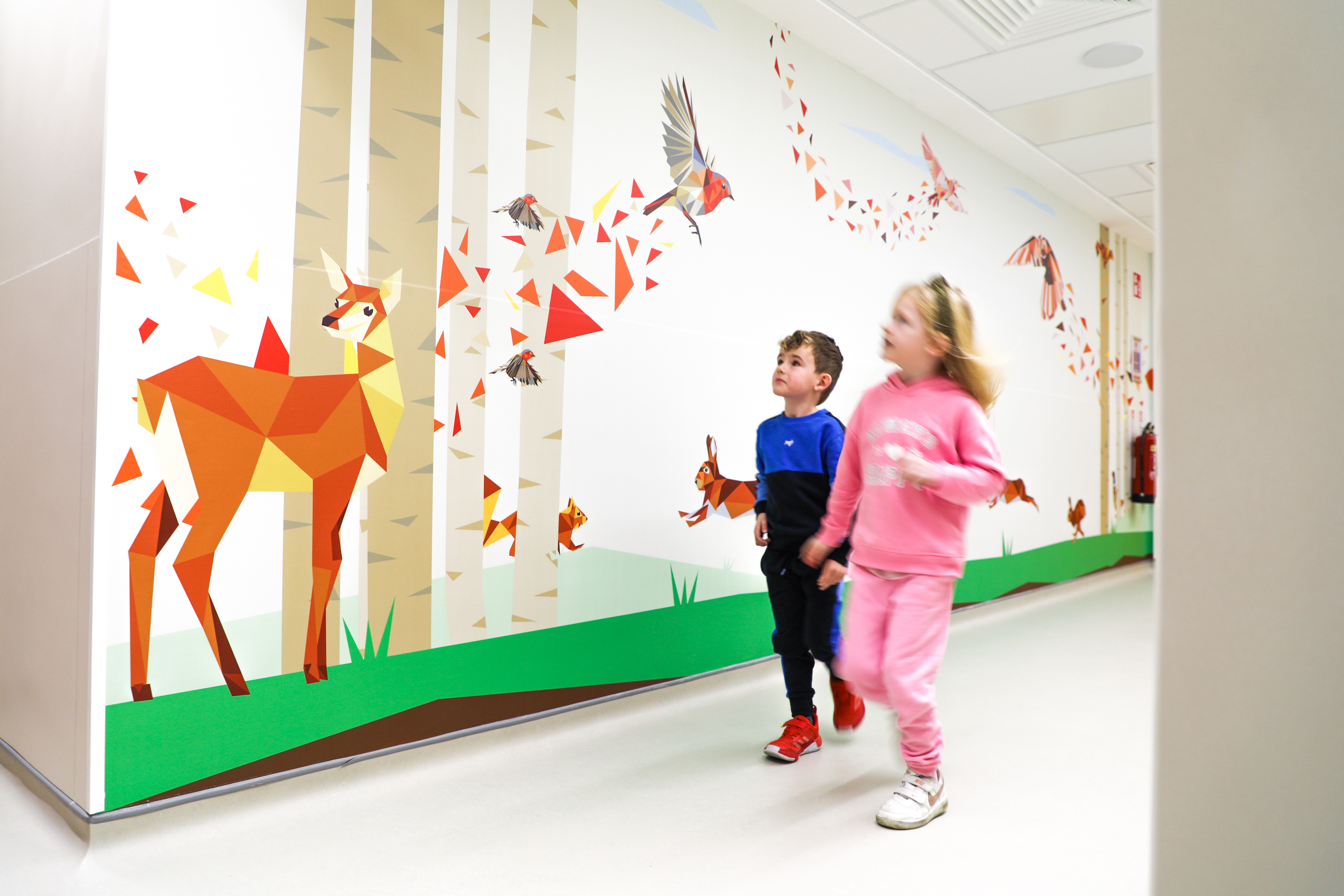 Cover image: Children’s Health Ireland Wall Graphics at Tallaght