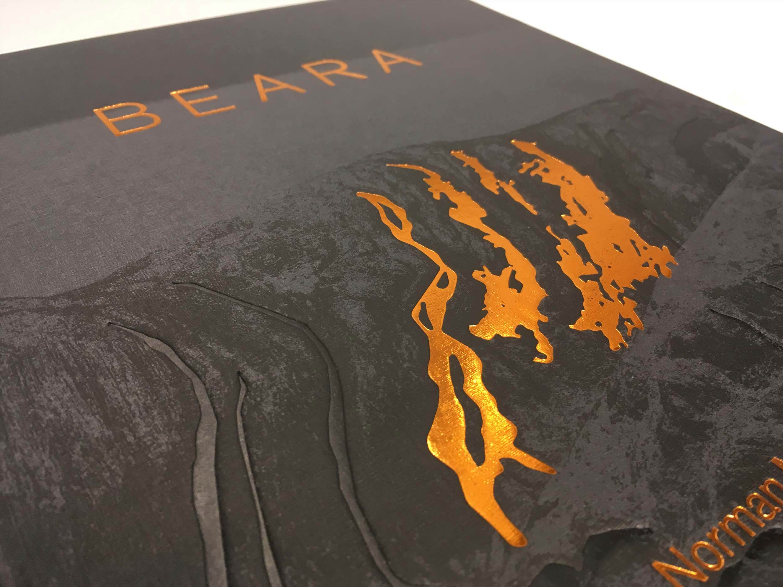 Cover image: Design of Beara Photography Book