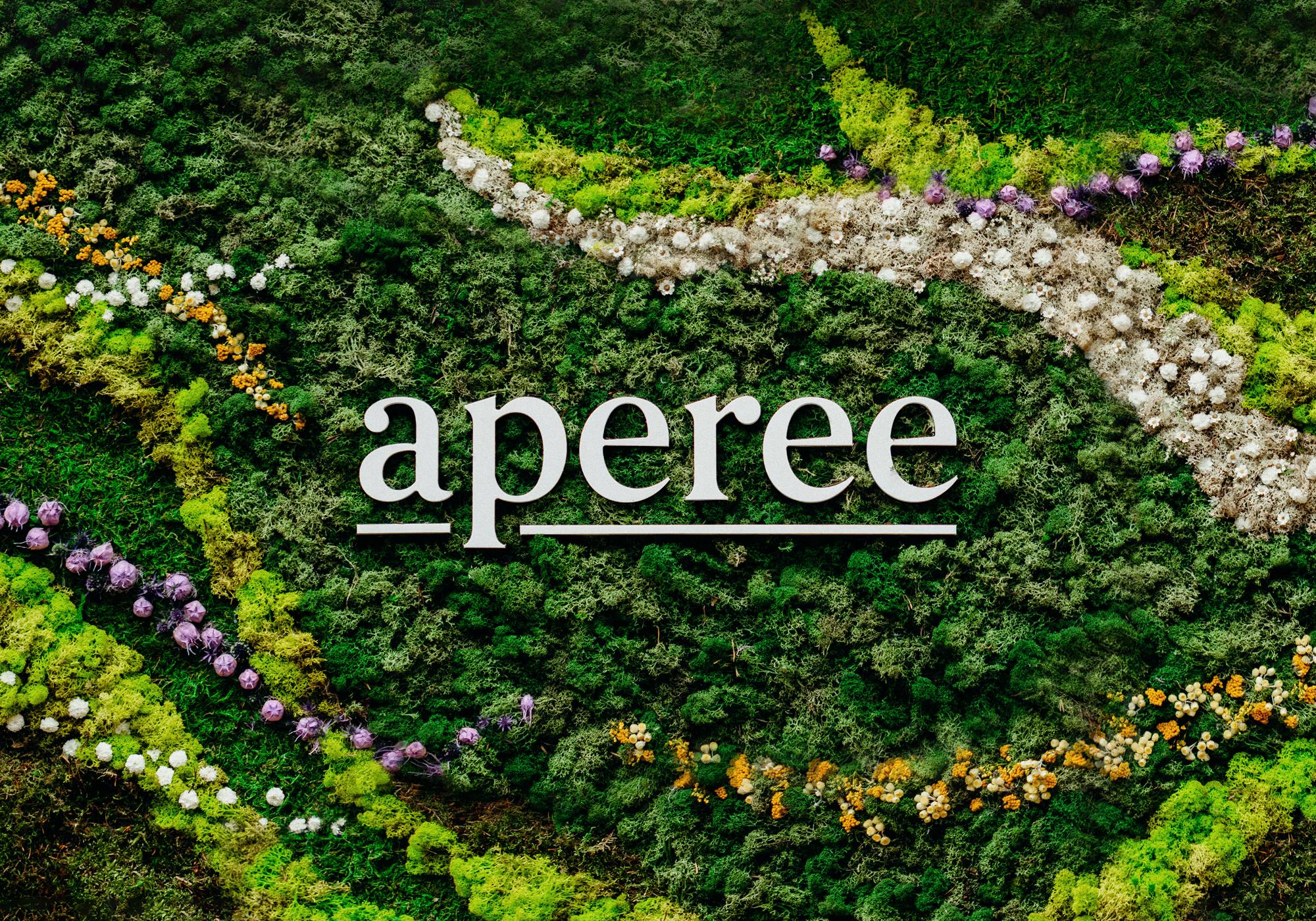 Cover image: aperee