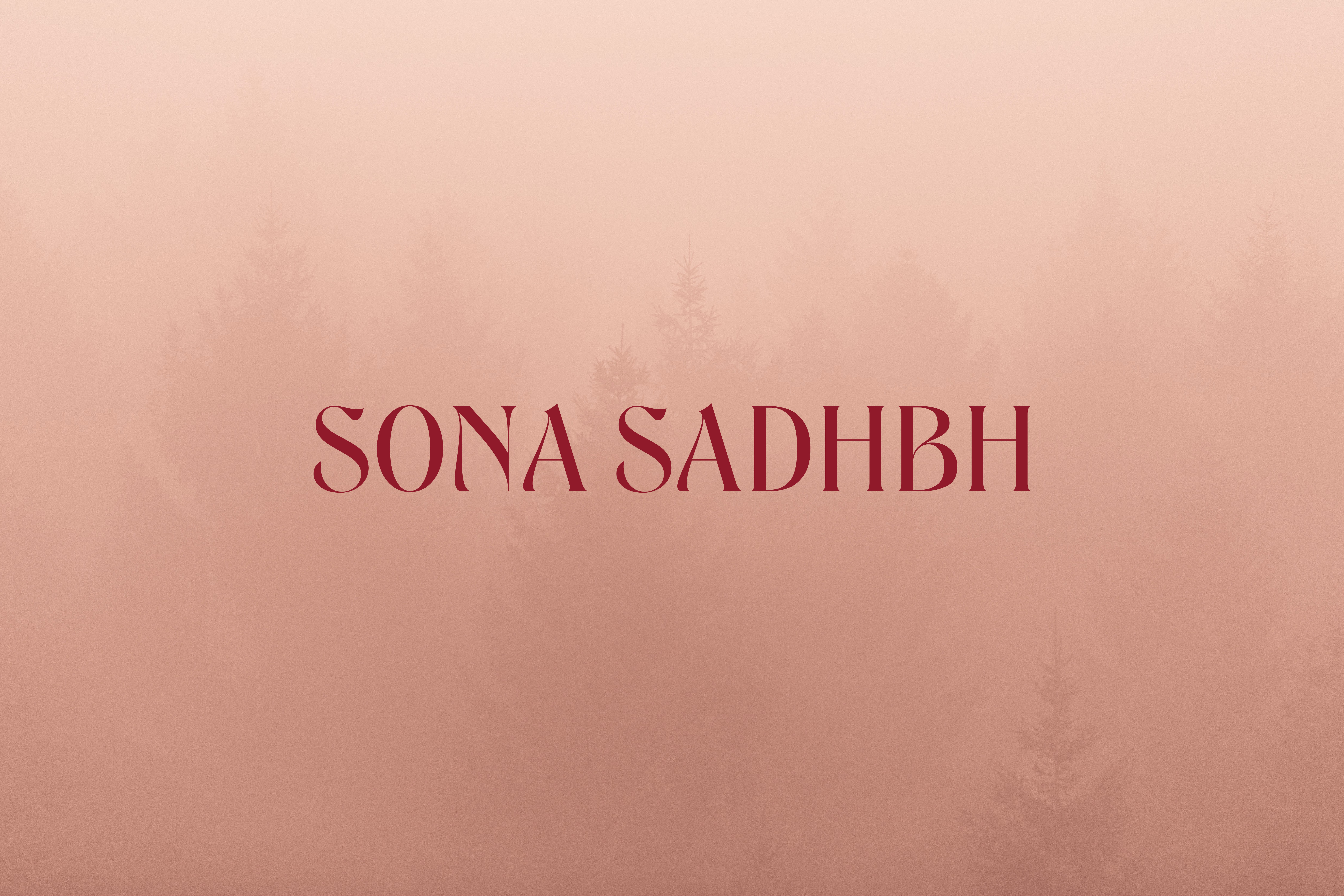 Cover image: Sona Sadhbh