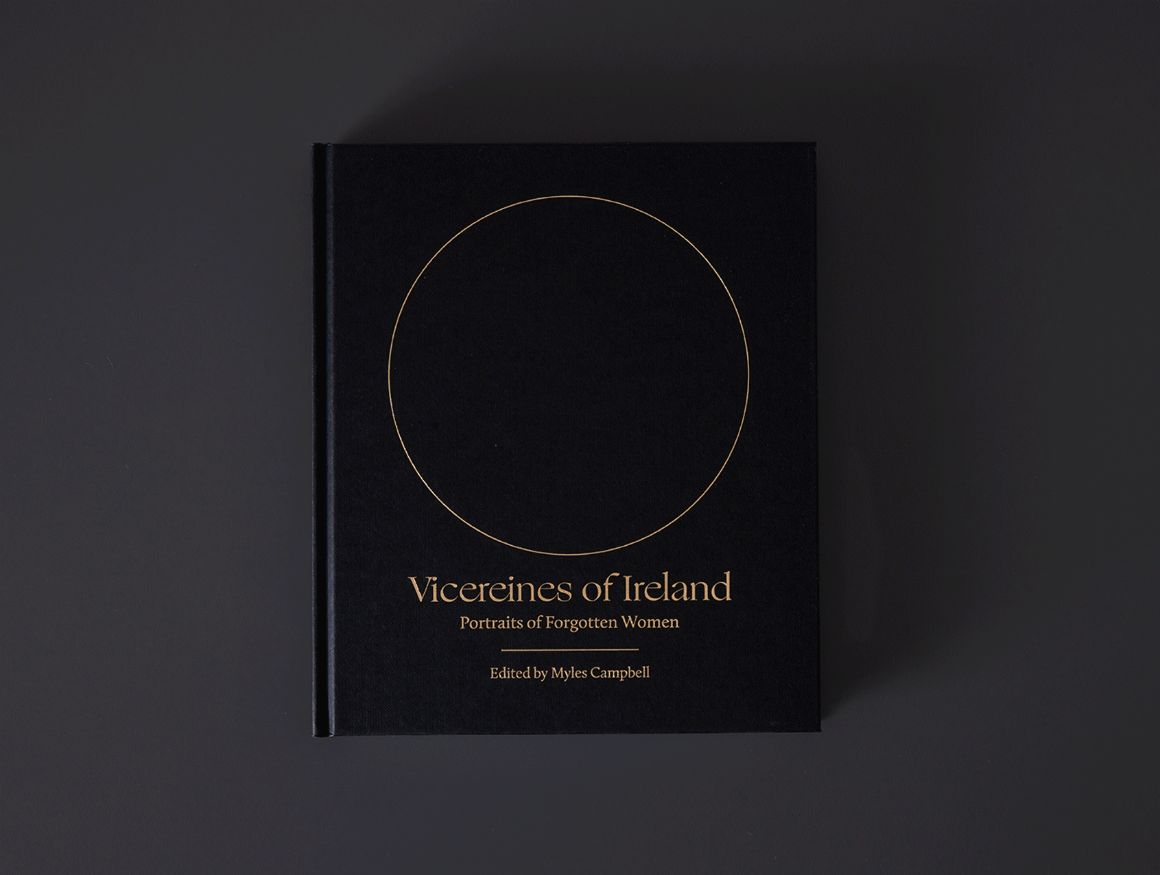 Cover image: Vicereines of Ireland: Portrait of Forgotten Women