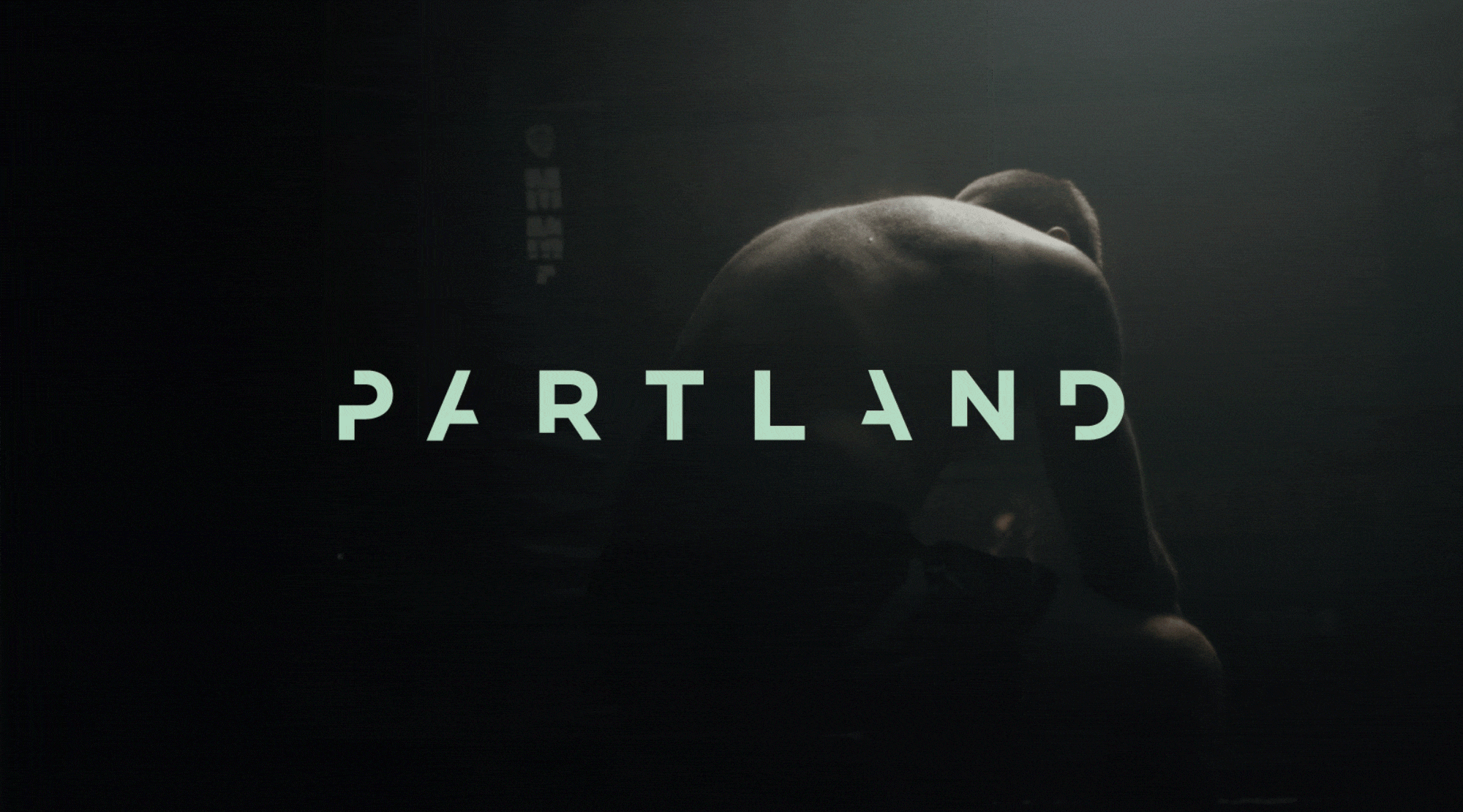 Cover image: Partland
