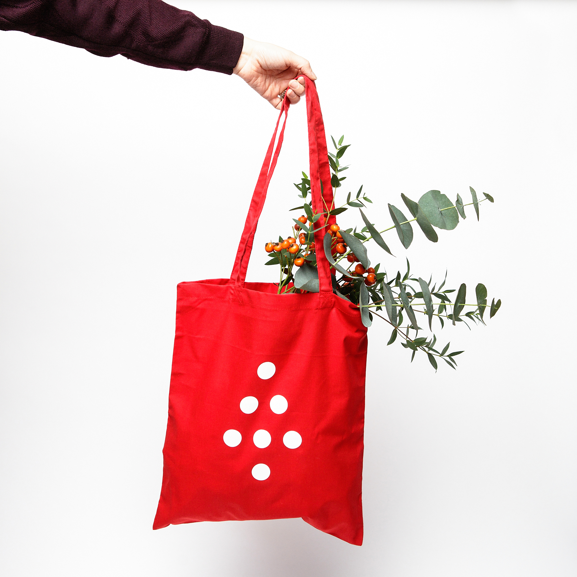 Cover image: Áras Christmas Tote