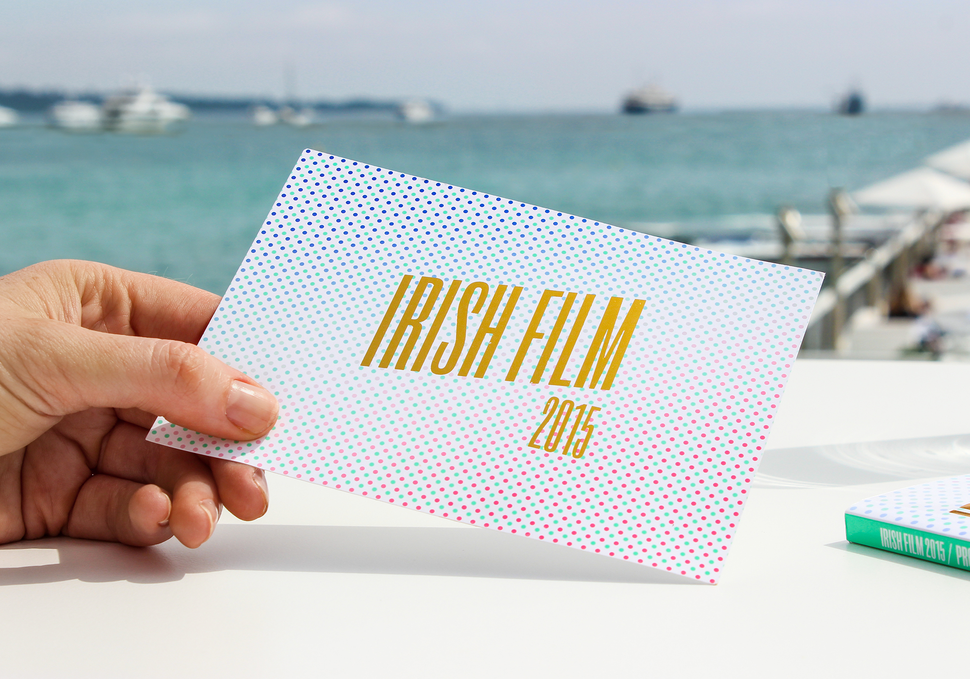 Cover image: Irish Film Board (2015)