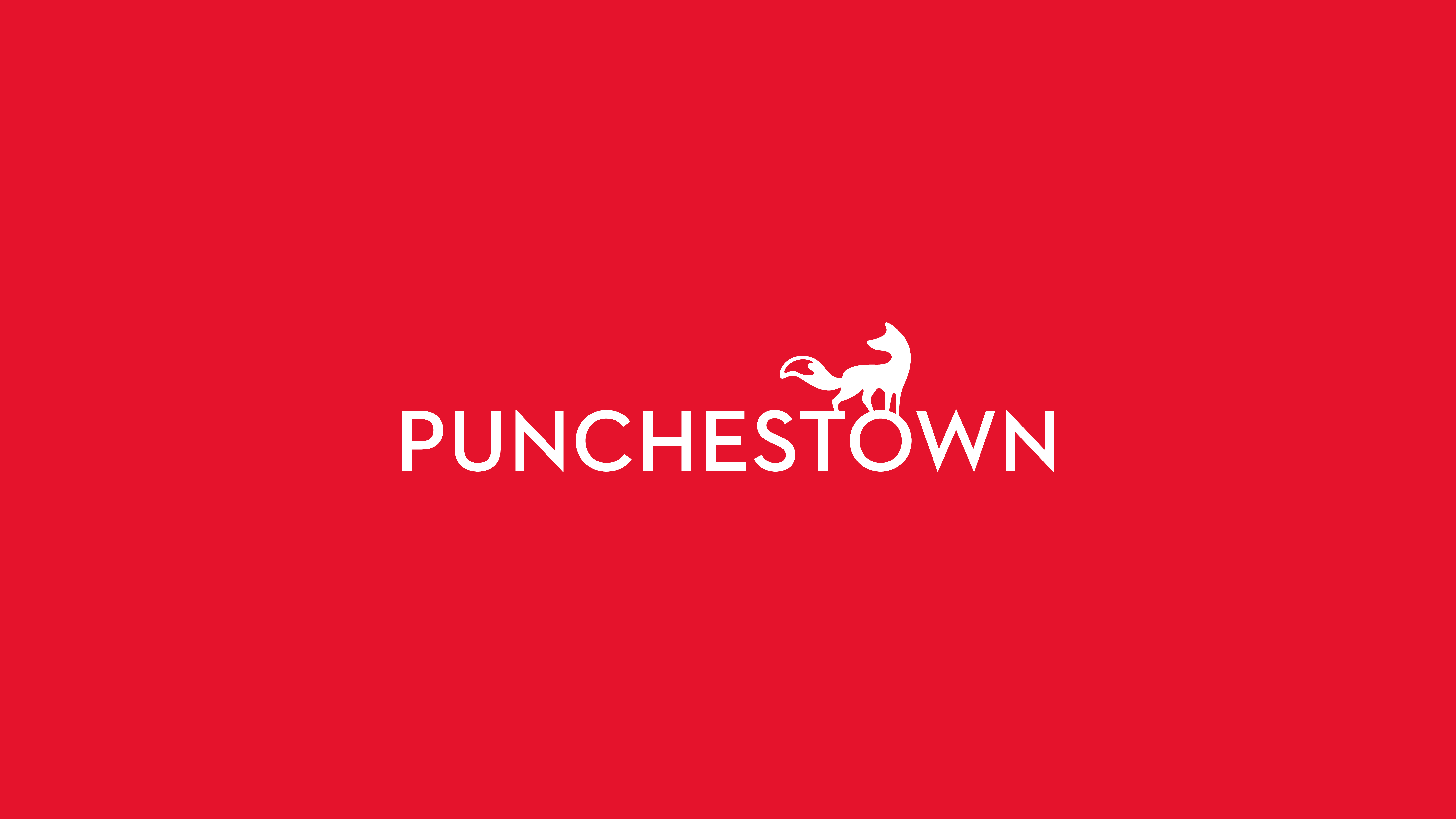 Cover image: Punchestown Branding