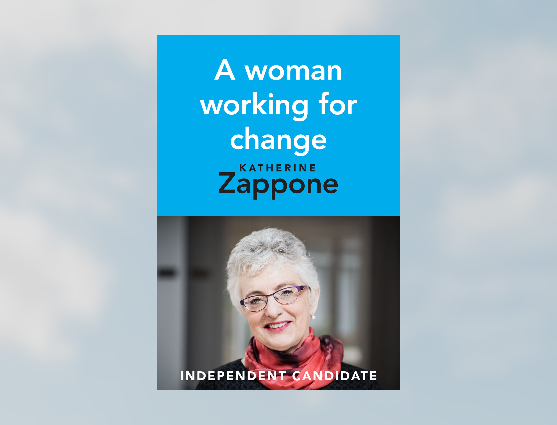 Cover image: Vote Zappone