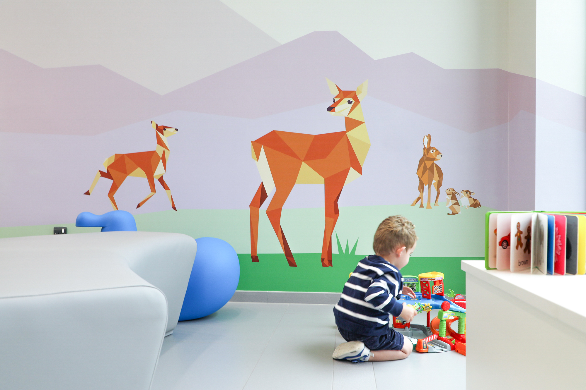 Cover image: Children’s Health Ireland at Connolly Hospital — Wall Graphics