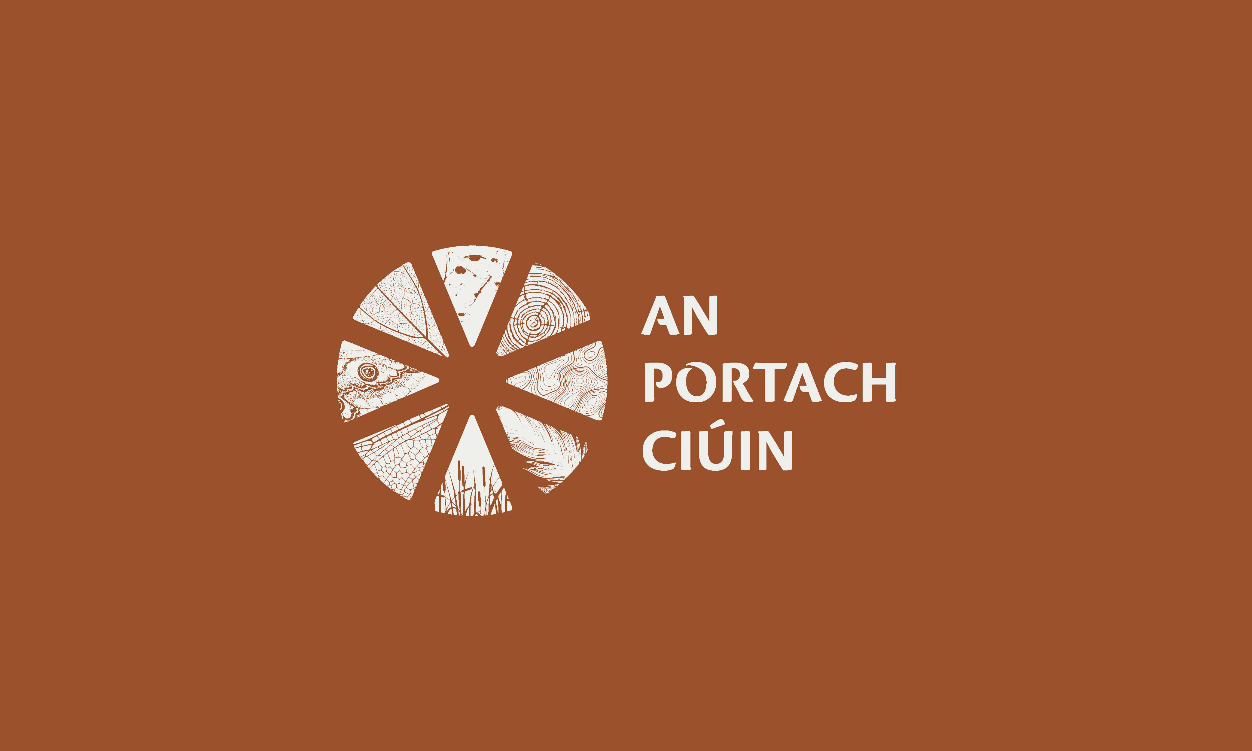 Cover image: An Portach Ciúin