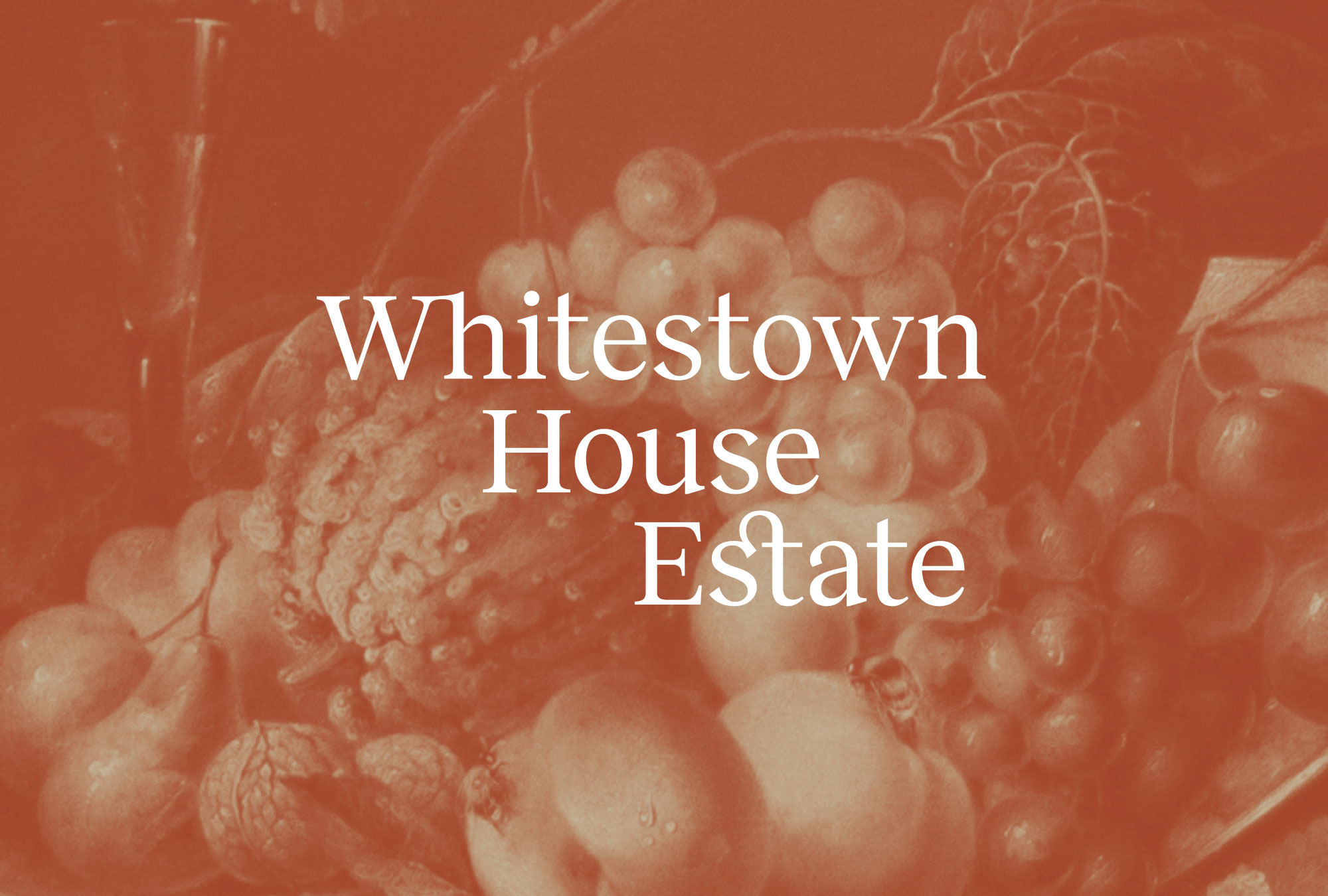 Cover image: Whitestown House Estate