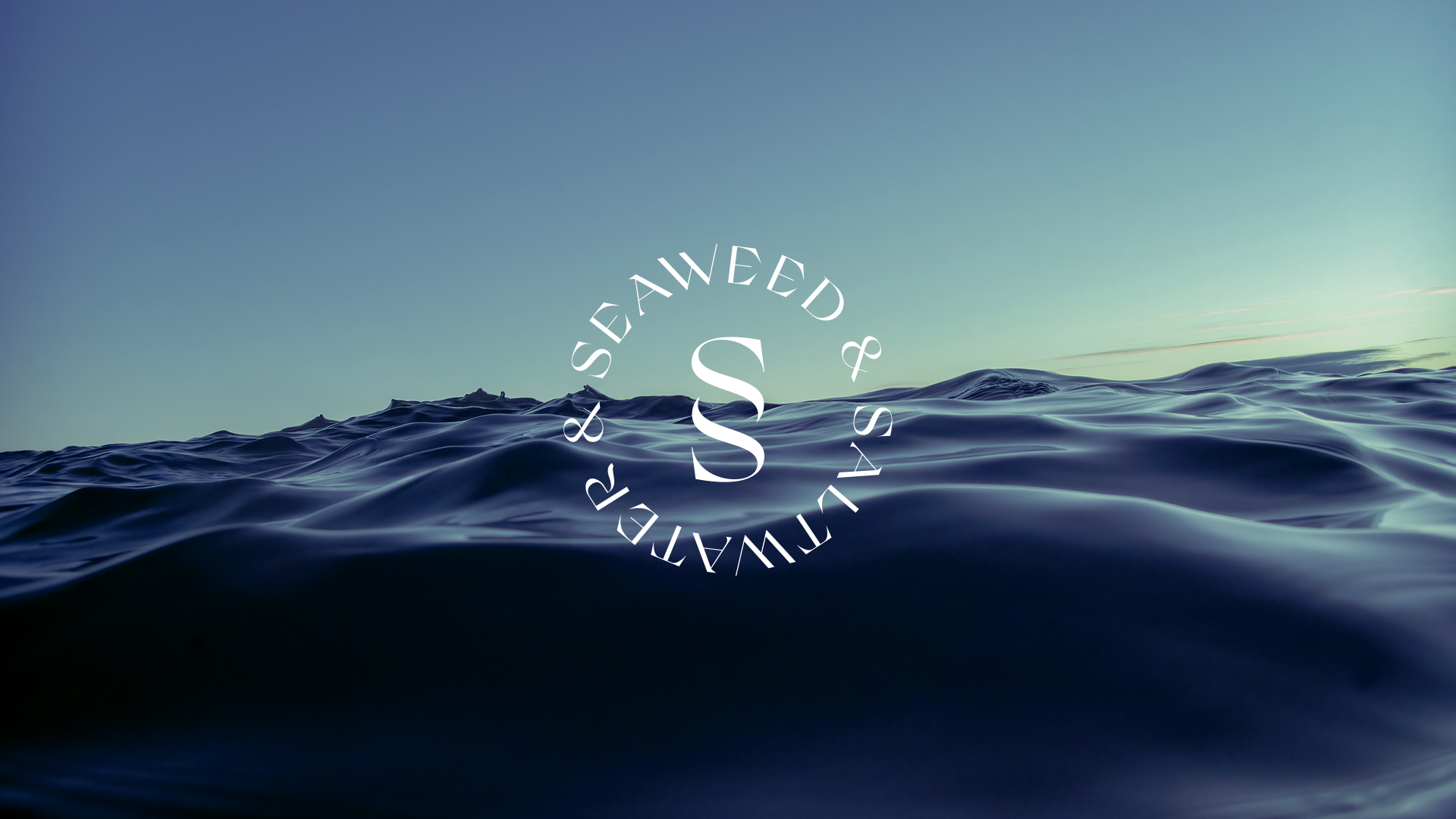 Cover image: Seaweed & Saltwater — Branding