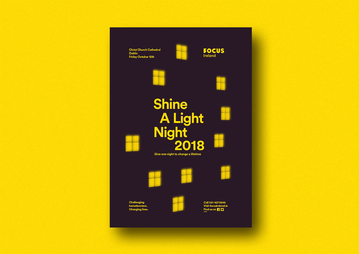 Cover image: Shine a Light Night