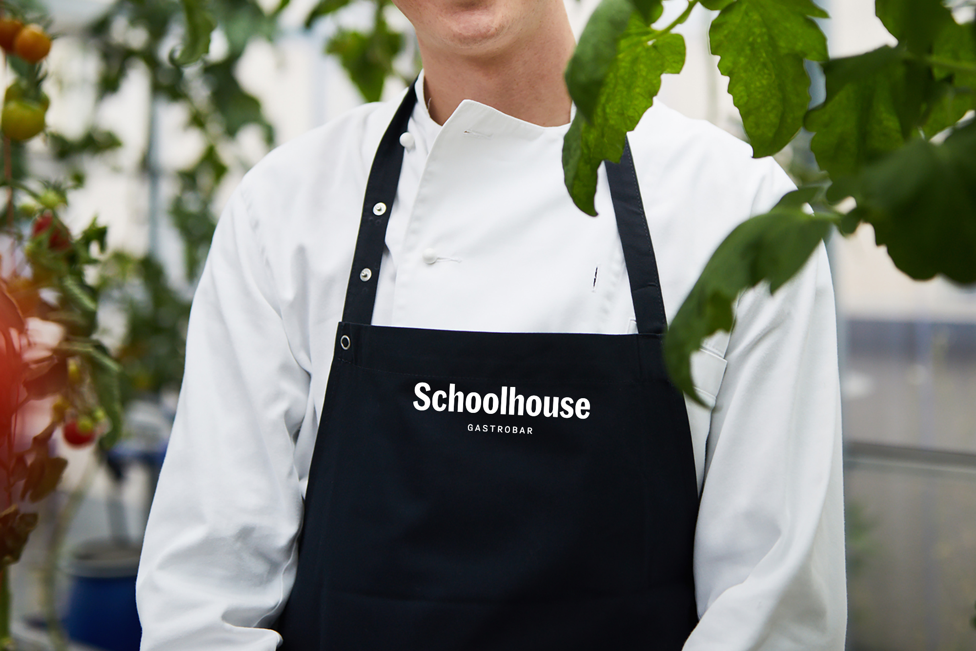 Cover image: Schoolhouse