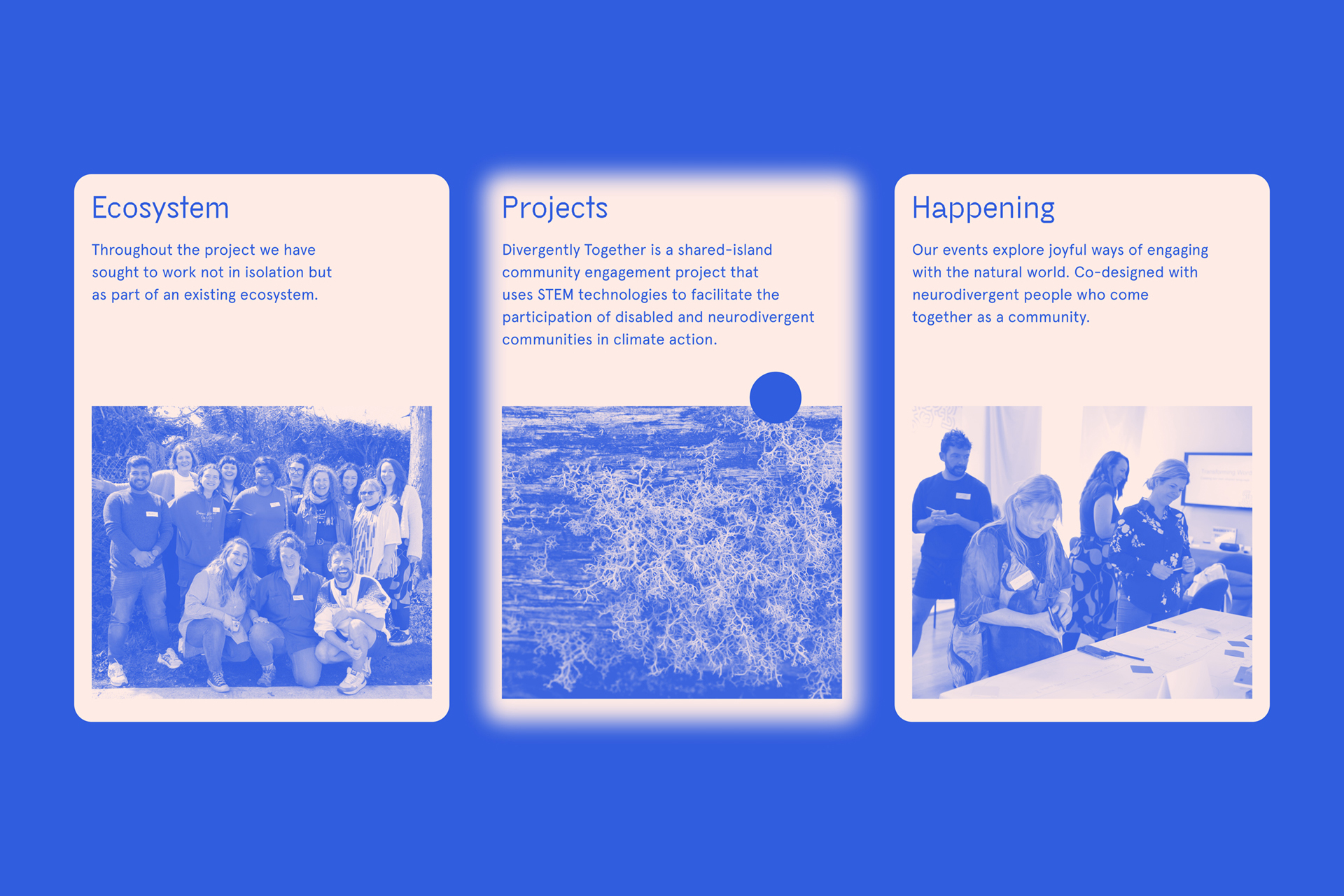 Cover image: Divergently Together