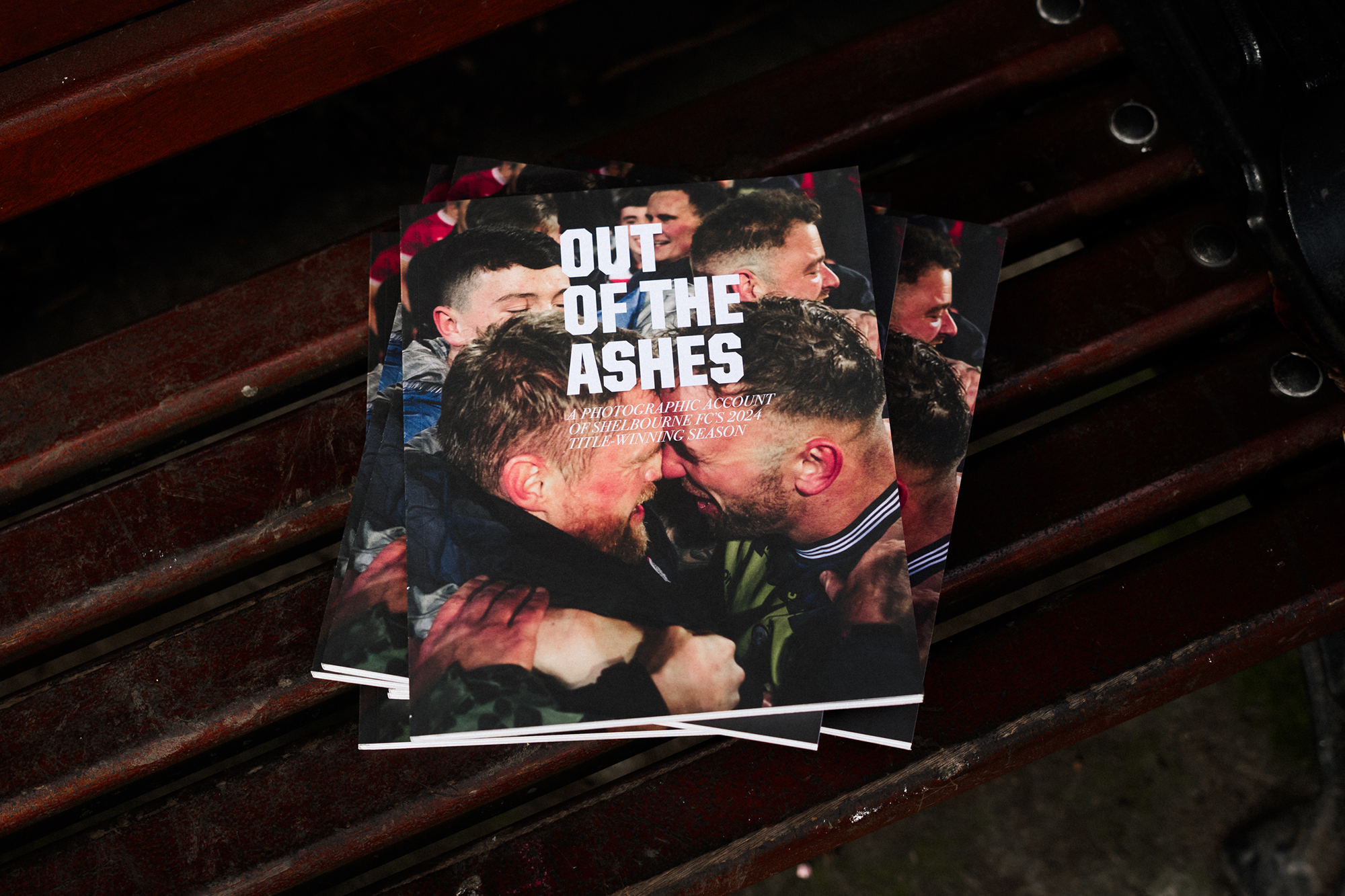 Cover image: Out of the Ashes