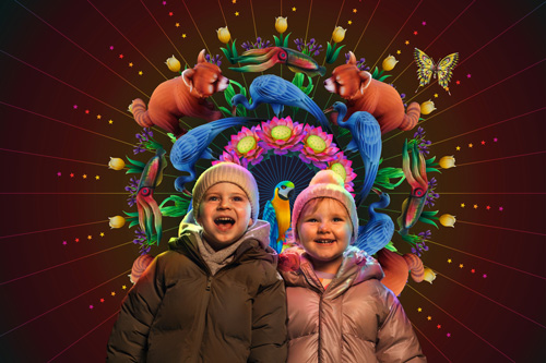 Cover image: Dublin Zoo Wild Lights